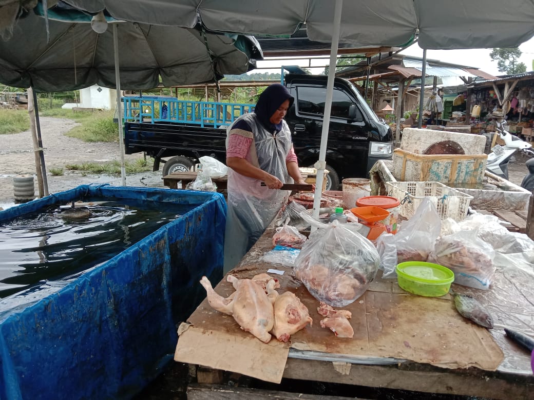 Paska Nataru Harga Ayam Masih Tinggi