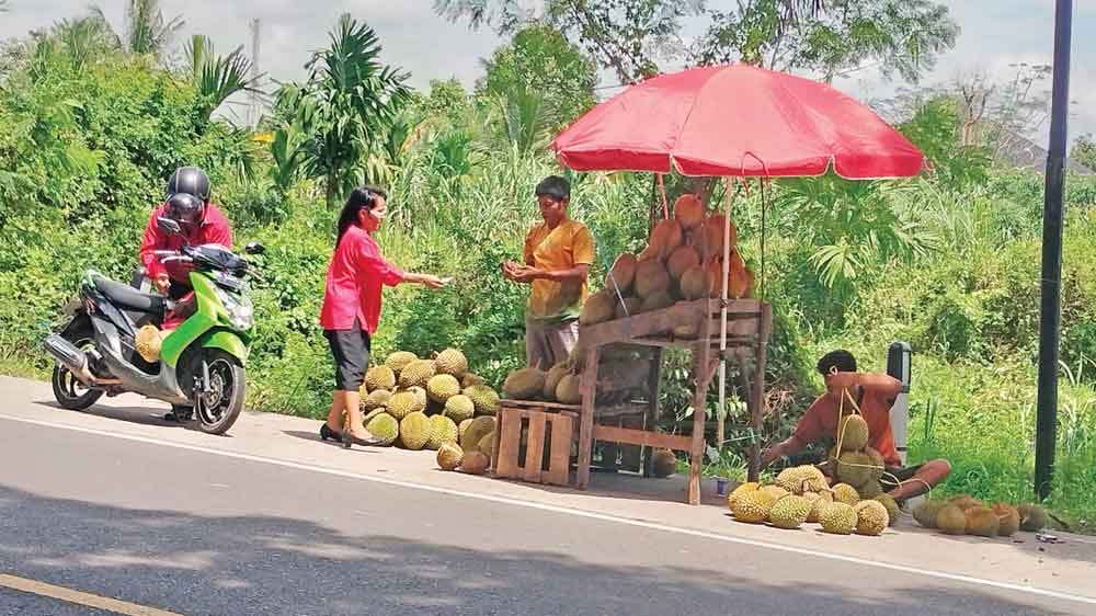 Durian Rp10 Ribu, Beli Langsung di Pinggir Jalan!