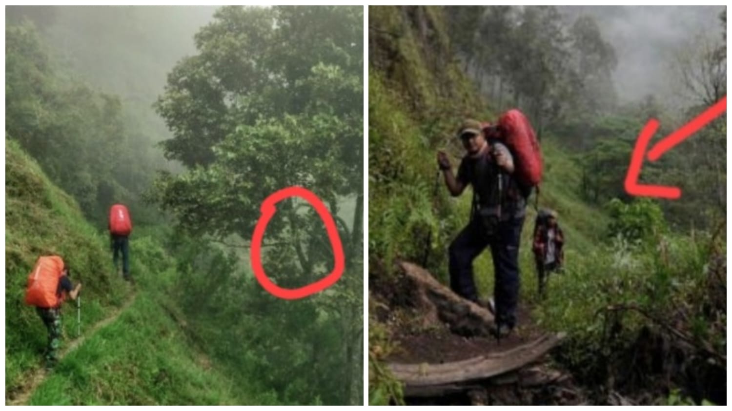 Cerita Pertemuan Ajaib Pendaki dengan Makhluk Bunian di Perbukitan Jawa Barat