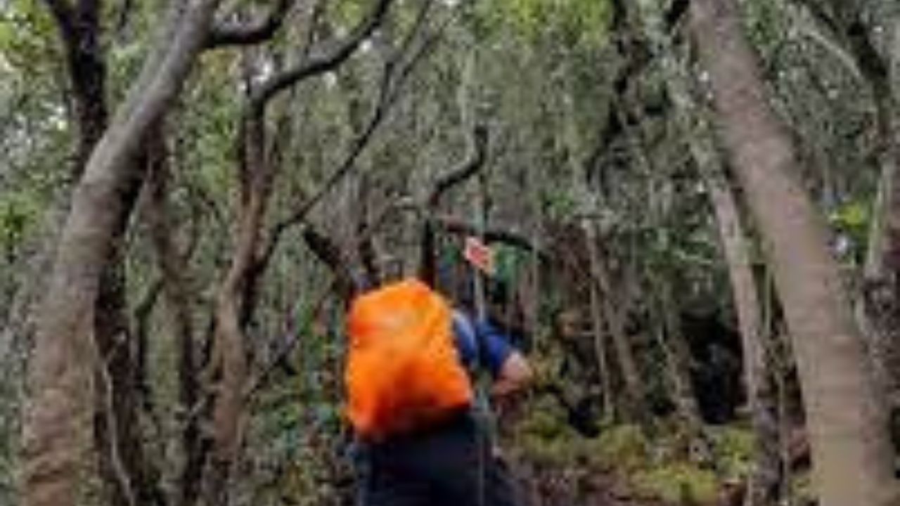 Mitos dan Misteri Gunung Dempo: Hati-hati bagi Pendaki!