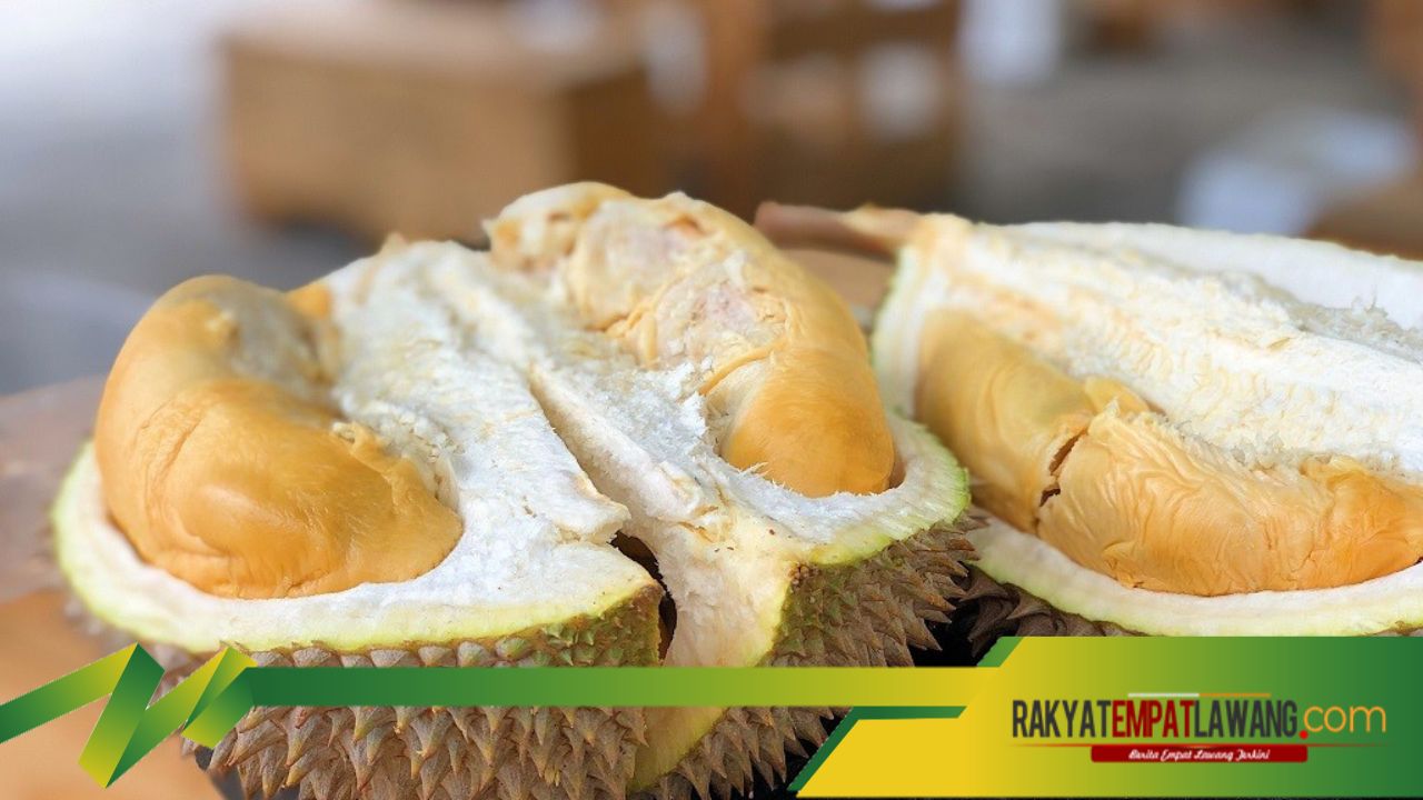 Menjaga Sistem Pencernaan dengan Durian