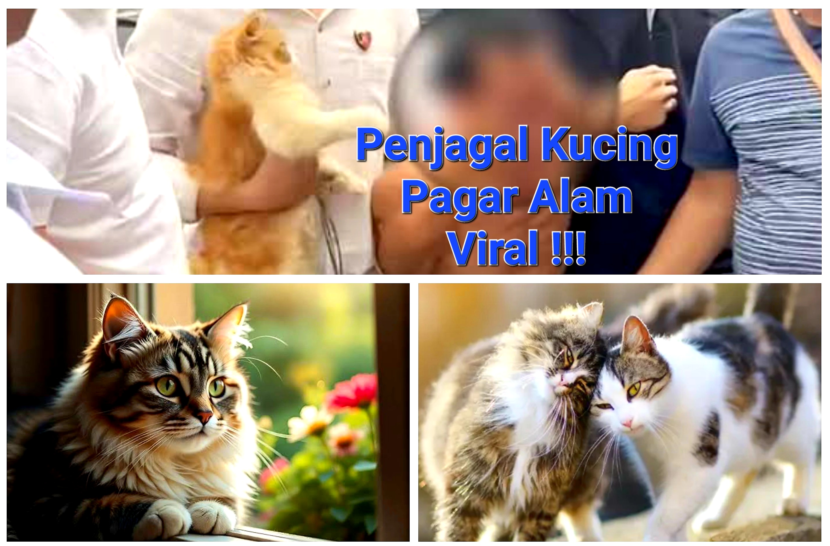 Warga Pagar Alam Diimbau Waspada Penyakit Zoonosis Usai Kasus Penjualan Daging Kucing