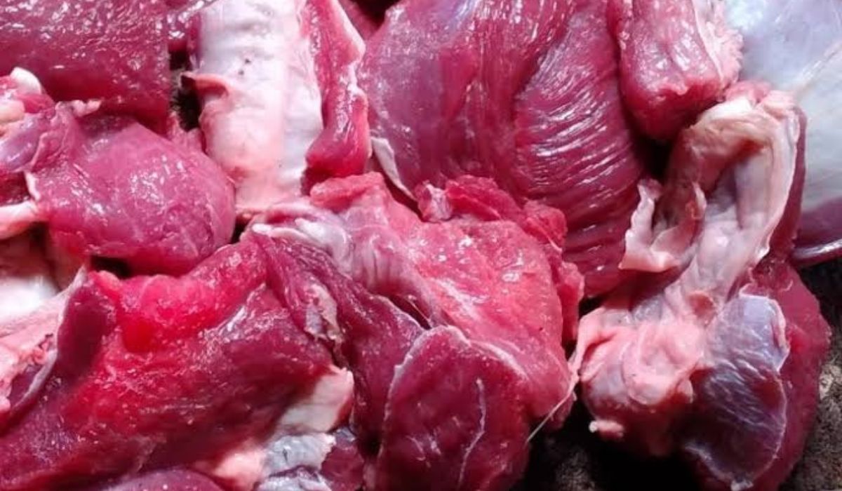 Berapa Lama Daging Sapi dan Domba Bisa Aman Dikonsumsi di Kulkas? 