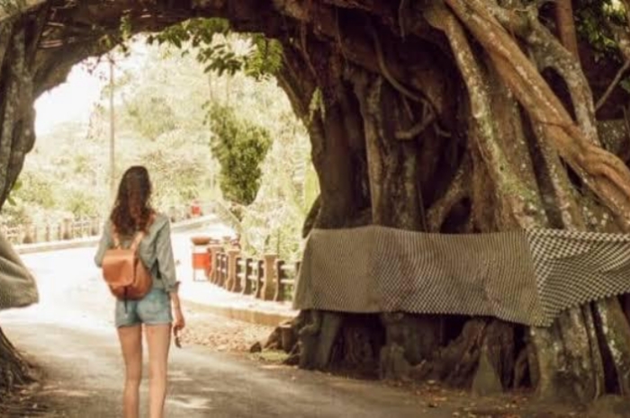 Mitos dan Legenda yang Melingkupi Pohon Bunut Bolong di Bali