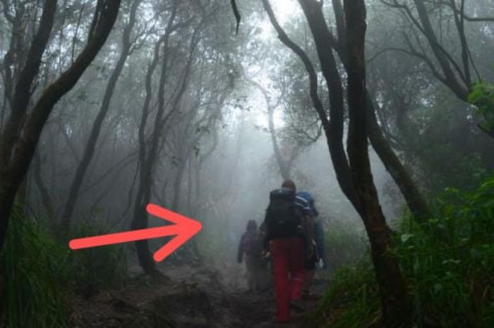 Misteri Bunian: Petualangan Pendaki Berani Dika Melawan Kabut dan Mencari Cinta