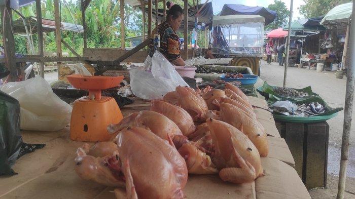 Harga Daging Ayam Masih Tinggi Usai Idul Adha 2025 di Empat Lawang