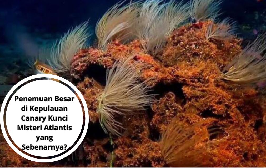 Penemuan Besar di Kepulauan Canary Kunci Misteri Atlantis yang Sebenarnya?