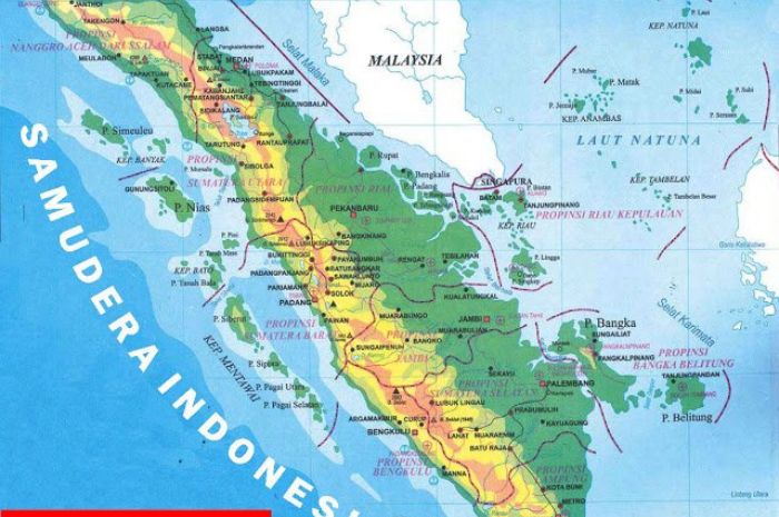 Kabupaten Terluas di Pulau Sumatera, OKI Nomor 1, Riau Mendominasi!