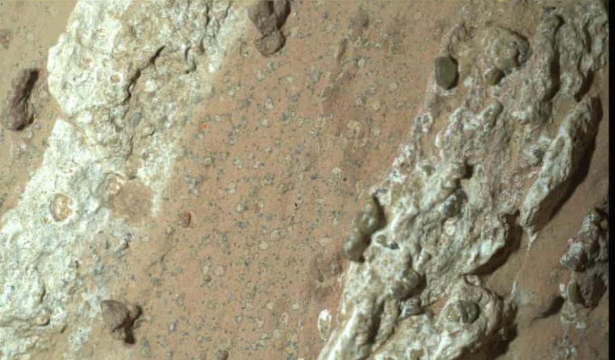 Tanda-tanda Kehidupan! Batu Berbintik yang Ditemukan NASA di Mars Berpotensi Jadi Rumah Mikroba
