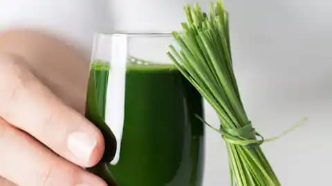 Benarkah Wheatgrass Juice Obat Segala Penyakit? Ini Fakta di Balik Klaimnya!