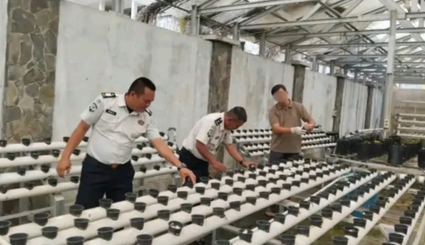 Lapas Empat Lawang Kembangkan Melon Belanda dan Hidroponik, Wujud Nyata Dukung Ketahanan Pangan Nasional