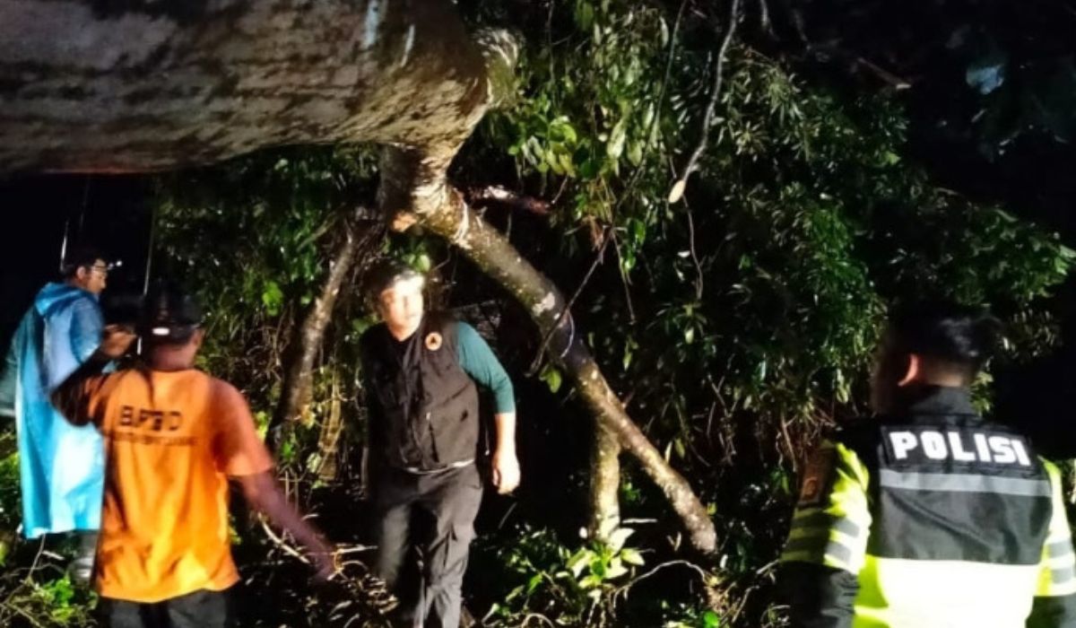 Sigap Personel Satuan Lalulintas Polres Empat Lawang Evakuasi Tumbangnya Pohon di Jalur Lintas Sumatera