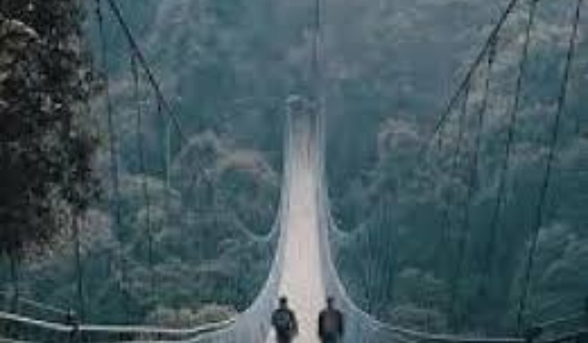 Situ Gunung Suspension Bridge di Sukabumi: Perjalanan Menegangkan di Atas Puncak Pohon