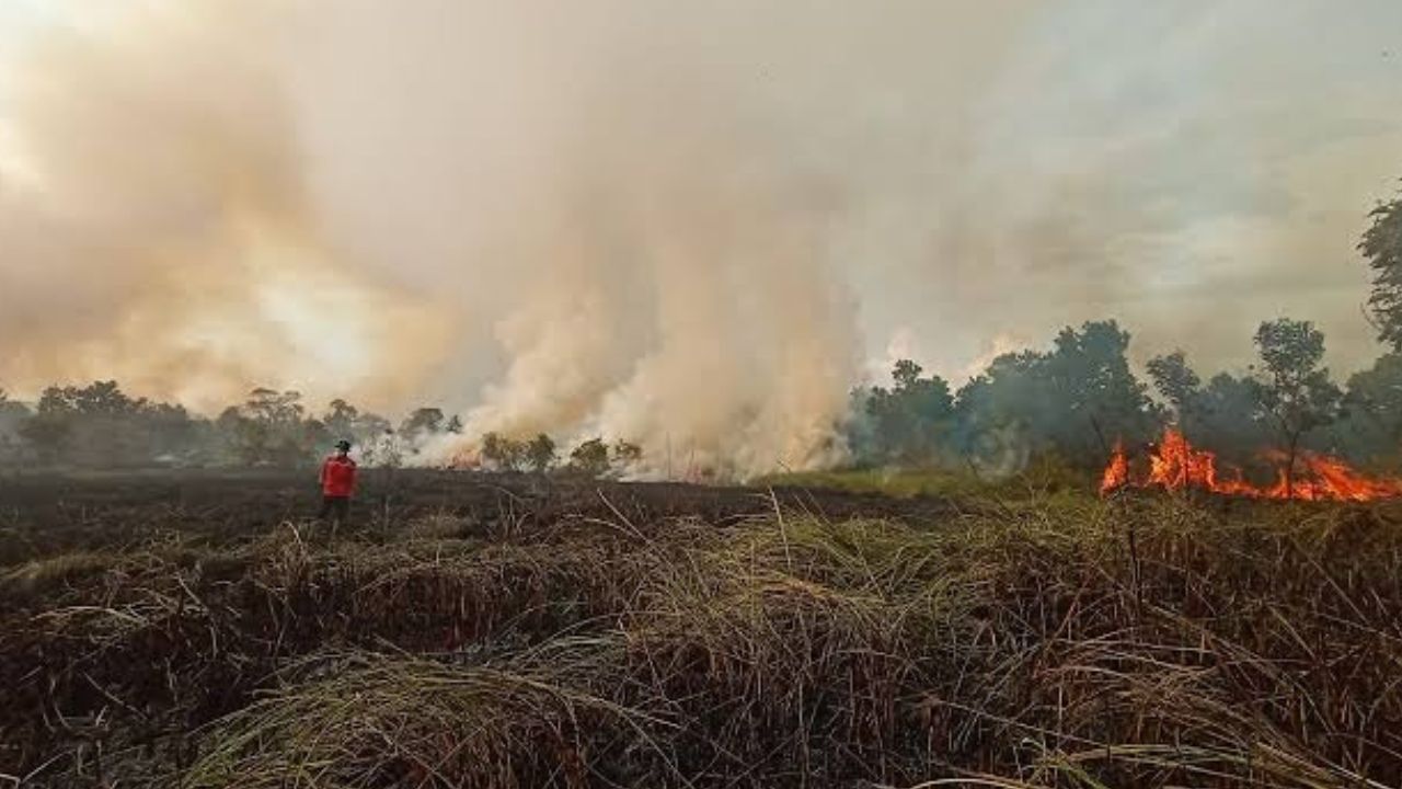 Polres Ogan Komering Ilir Lidik 13 Terduga Pelaku Pembakaran Hutan dan Lahan