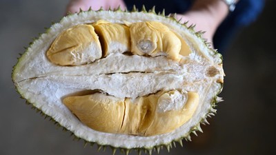 Simak Berikut Makanan yang Tidak Boleh Dikonsumsi Bersamaan dengan Durian