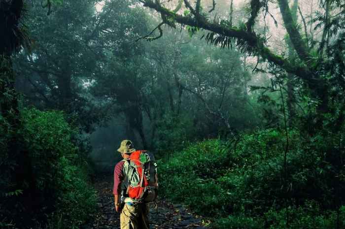 Mengerikan! Kisah Mistis Pendaki Gunung Merbabu, Yogyakarta: Diterpa Kabut Tebal, Suara-Suara Aneh