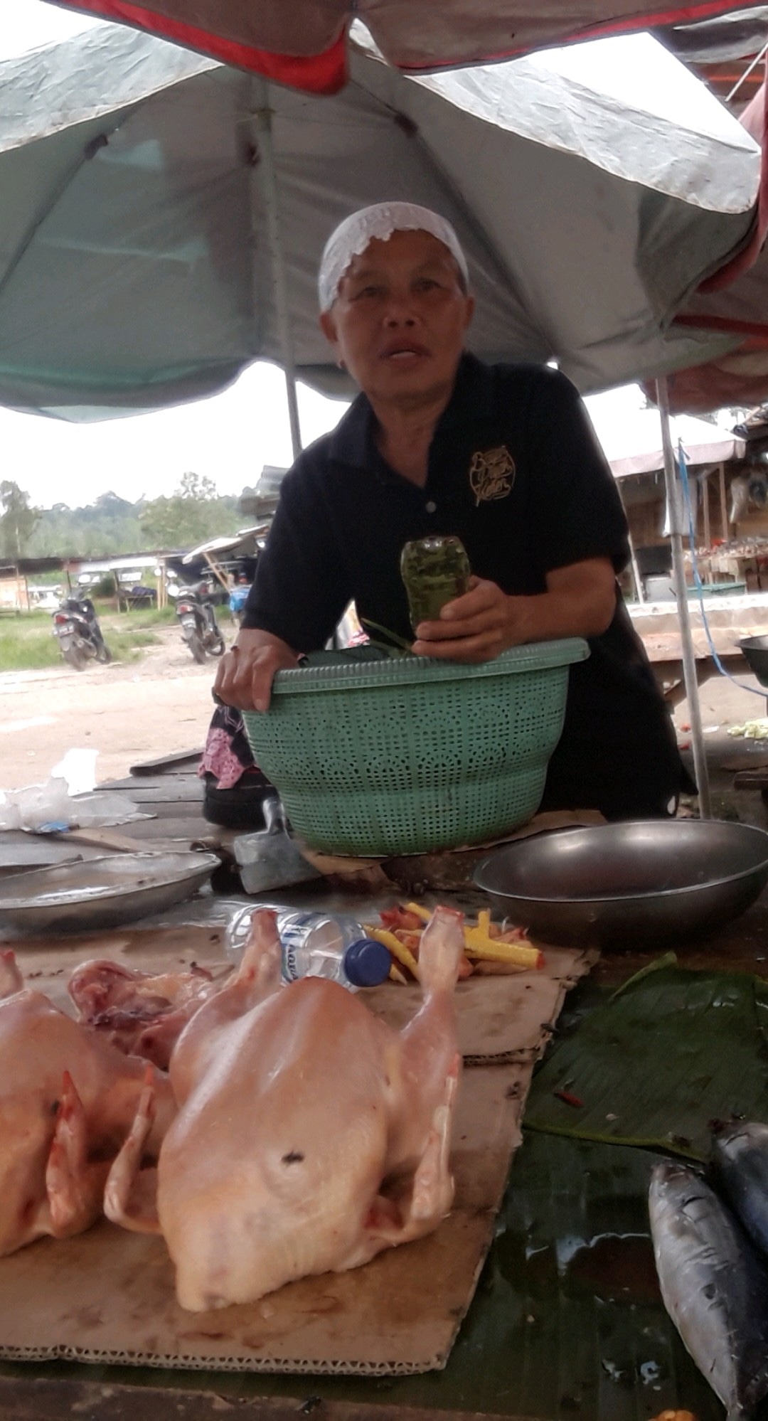 Telur, Ayam dan Ikan Masih Normal