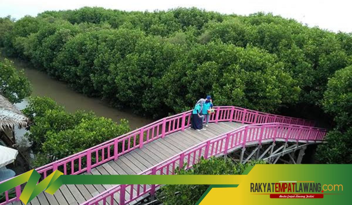 Hutan Mangrove Sari Ringgung: Keindahan Alam dan Mitos yang Menghantui