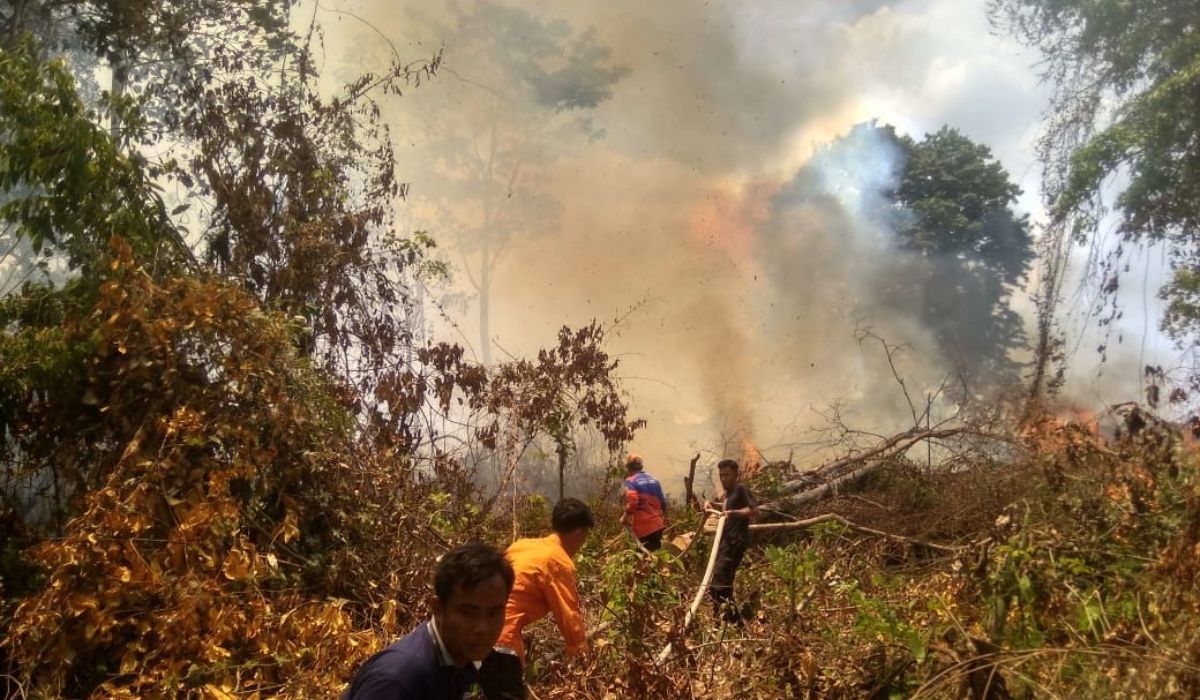 Kebakaran Lahan Terjadi di Dekat SMA Nyaris Sambar Area Pemakaman