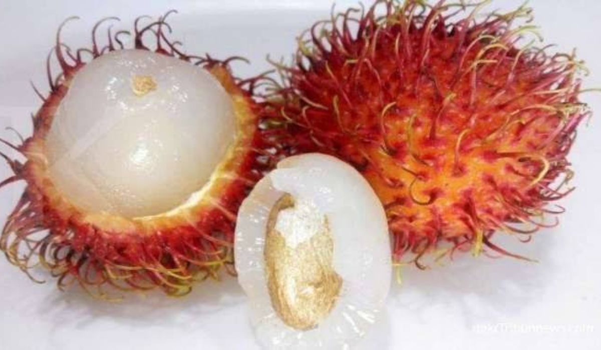 Manfaat Biji Rambutan untuk Kesehatan: Jangan Dibuang, Ini 9 Alasannya