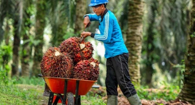 Pemerintah Percepat Pencairan THR Idul Fitri 2025, Pekerja dan Pengusaha Dukung Kebijakan