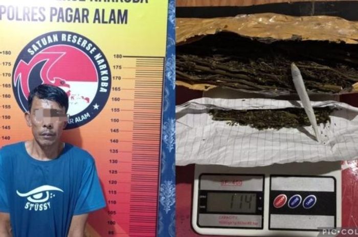 Simpan Ganja di Kamar, Lukman Diringkus Polres Pagaralam