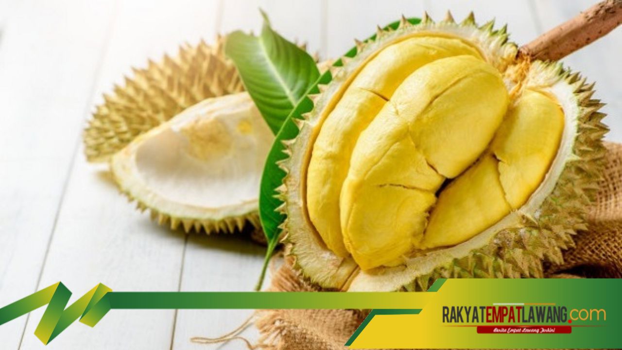 Sering di Abaikan, Biji Durian Bisa Cegah Hipertensi dan Menjaga Kesehatan Jantung