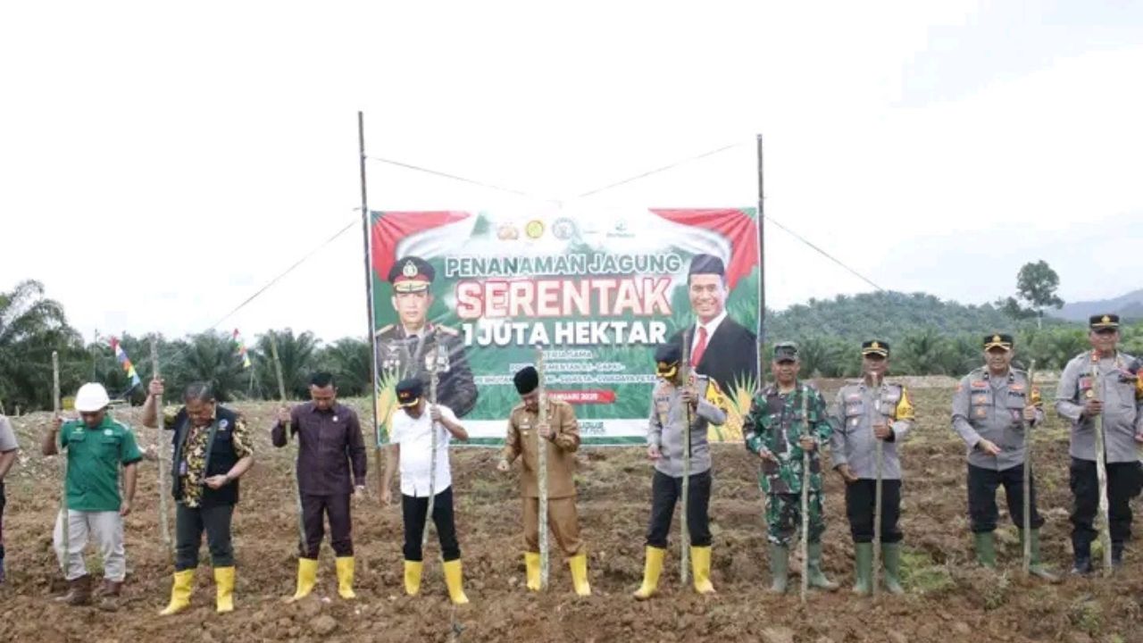 Penanaman Jagung Serentak Satu Juta Hektar di Empat Lawang: Wujud Nyata Dukung Ketahanan Pangan Nasional