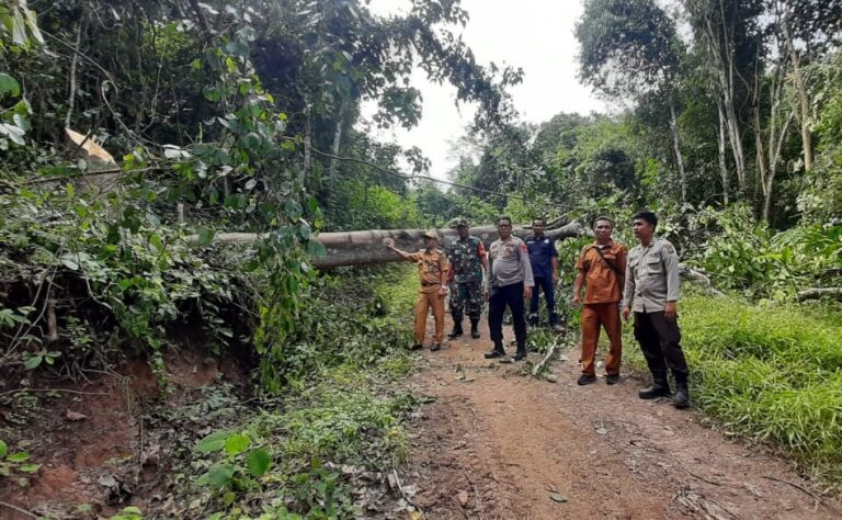 Jalan ke Perkebunan PT Galempa Diblokir Warga