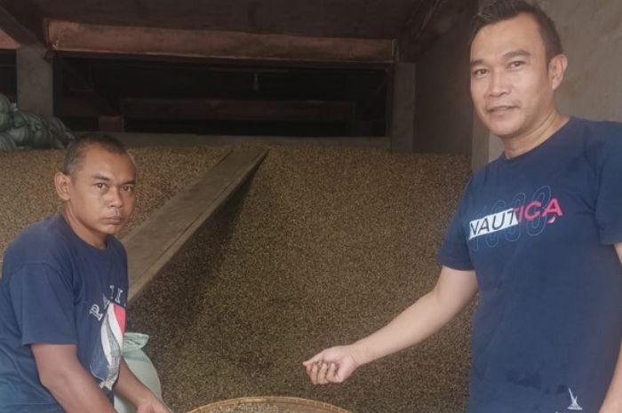 Harga Kopi di Kepahiang Rp35 Ribu per-Kg