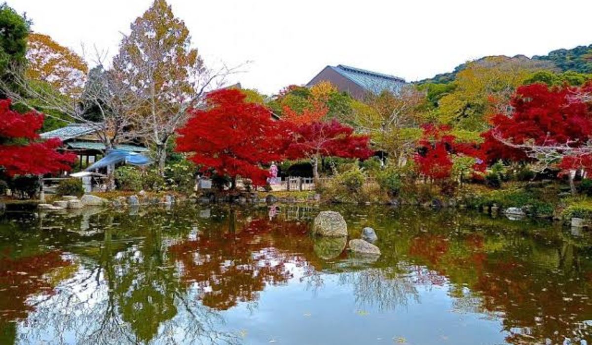 Mengulik Keindahan Taman Maruyama di Kyoto