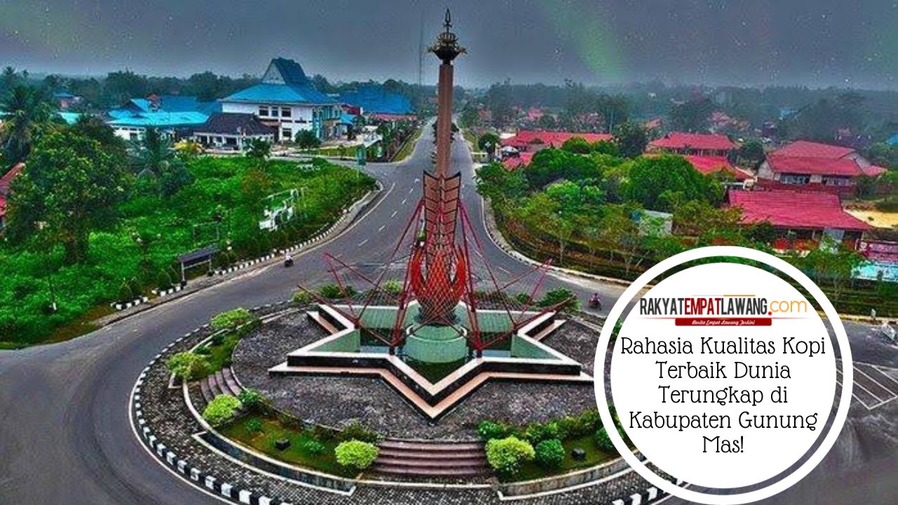 Rahasia Kualitas Kopi Terbaik Dunia Terungkap di Kabupaten Gunung Mas! 