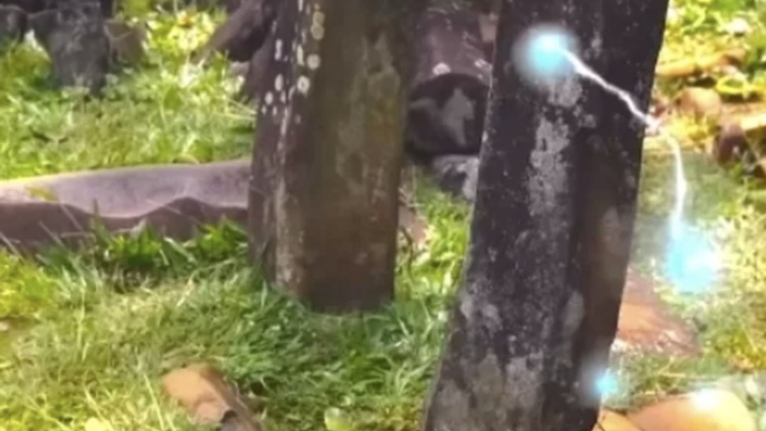 Misteri Batu Listrik di Situs Gunung Padang Jejak Tersembunyi di Kompleks Punden Berundak Kuno, Ini Ceritanya!