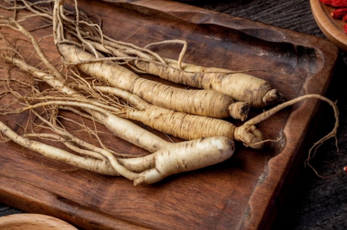 Ginseng (Panax ginseng): Ramuan Ajaib dari Asia