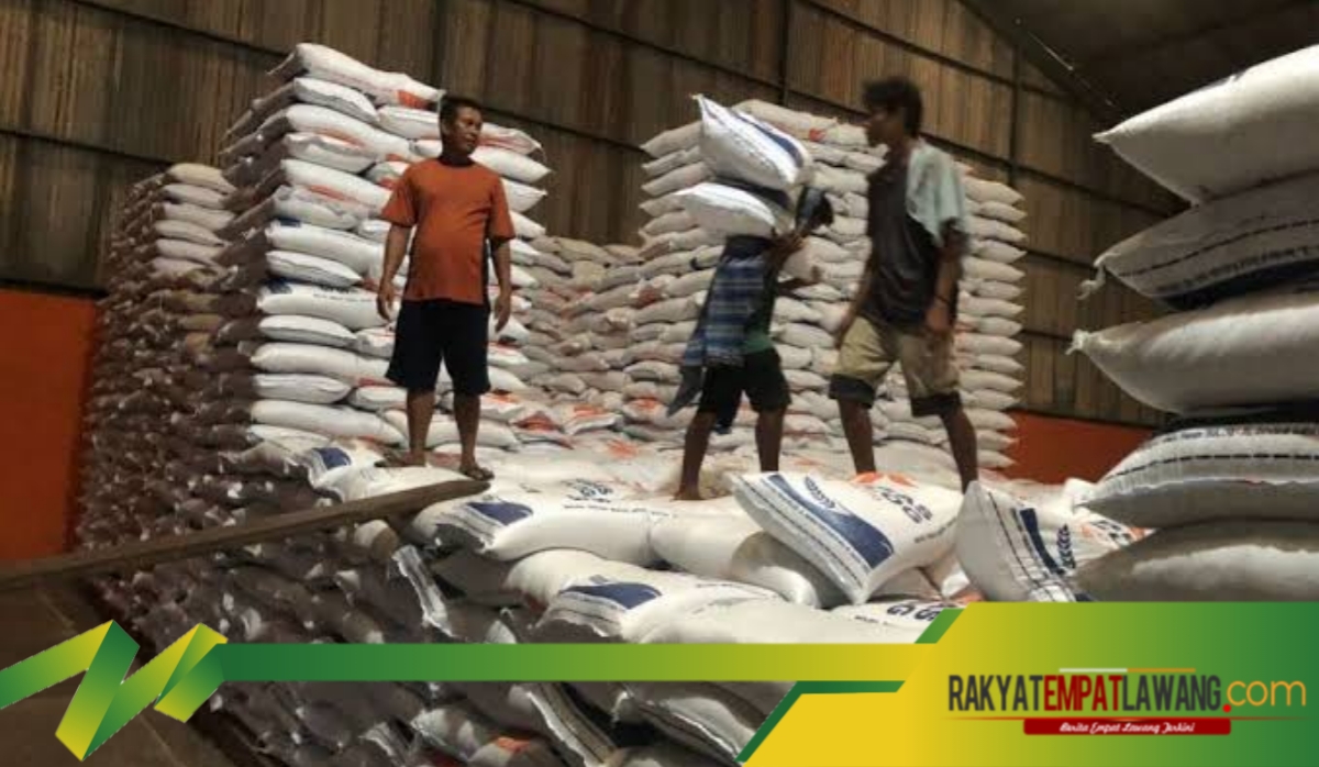 14 Ribu Ton Beras Impor Masuk Gudang Bulog Sumsel-Babel