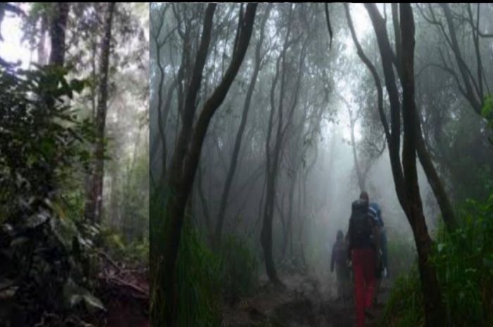 Pos Samarantu dan Legenda Dunia Lain Misteri dan Keindahan di Gunung Slamet di pulau Jawa