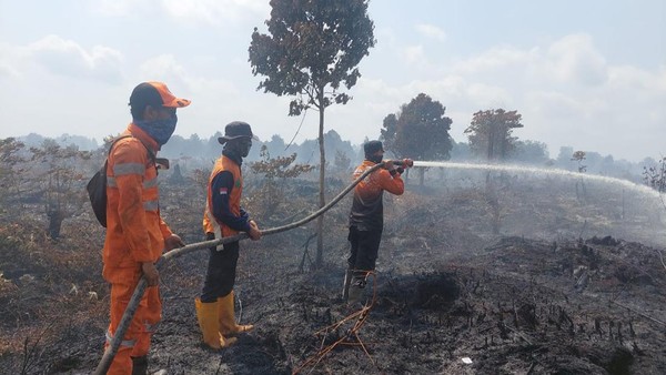 Kebakaran Lahan Gambut di Bayung Lencir Meluas Menjadi 45 Hektare
