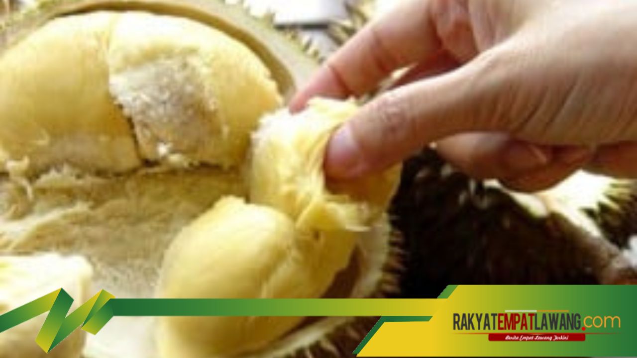 Bukan Hanya Lezat, Kandungan Nutrisi Durian Bisa Memperkuat Otot