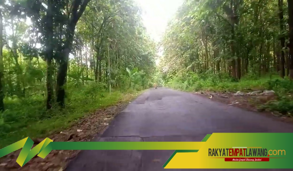 Menelusuri Misteri Jalan Robyong Mijen: Kisah Seram di Tengah Ketenangan