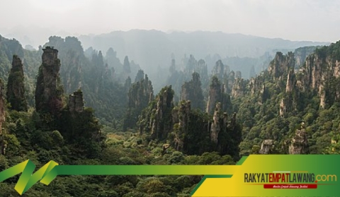 Tempat Inspirasi Film Avatar! Menyaksikan Keajaiban Alam di Hutan Batu Zhangjiajie