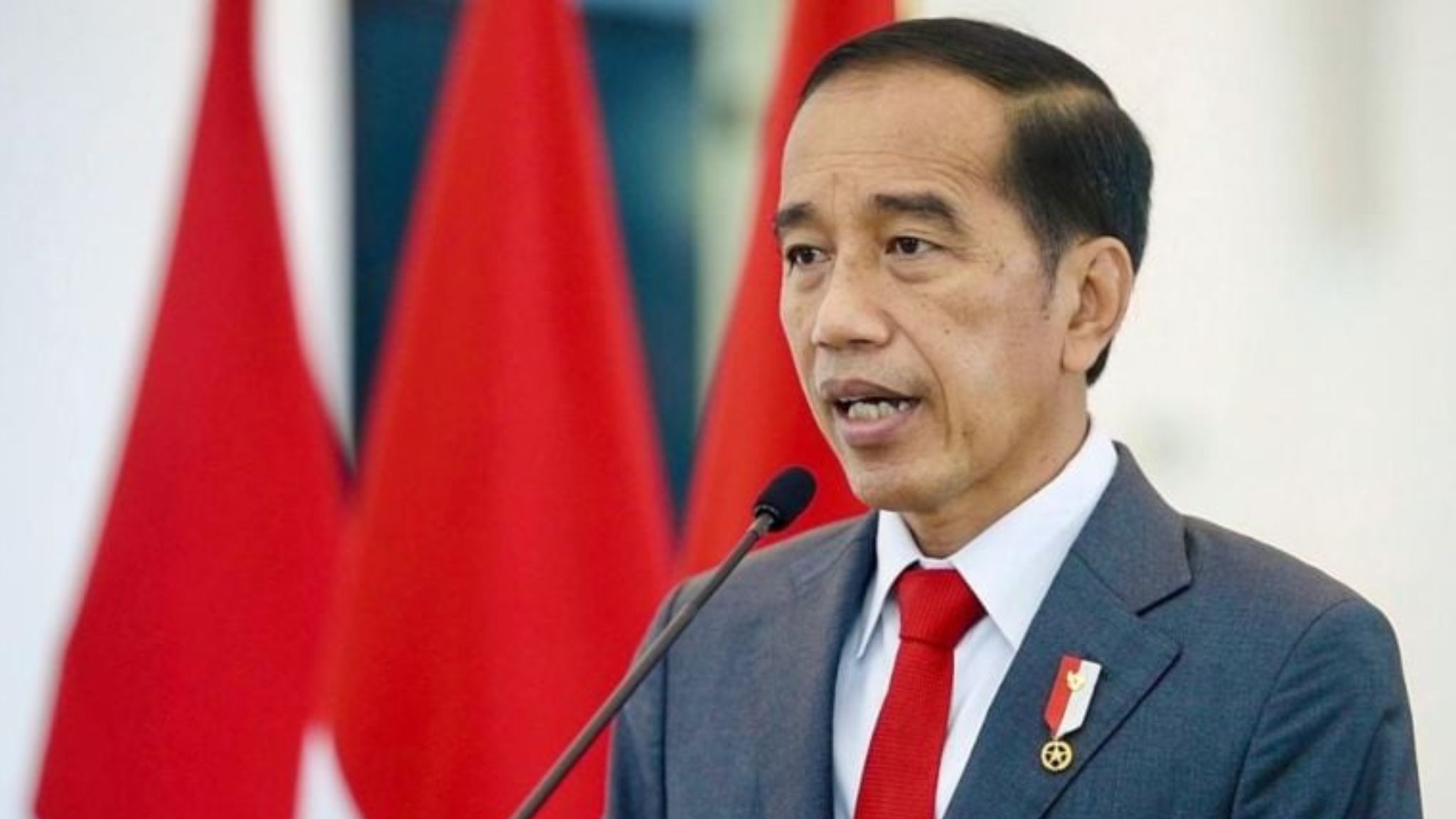 Rekrutmen CPNS 2024 Pengumuman Jokowi Dilakukan Awal Januari