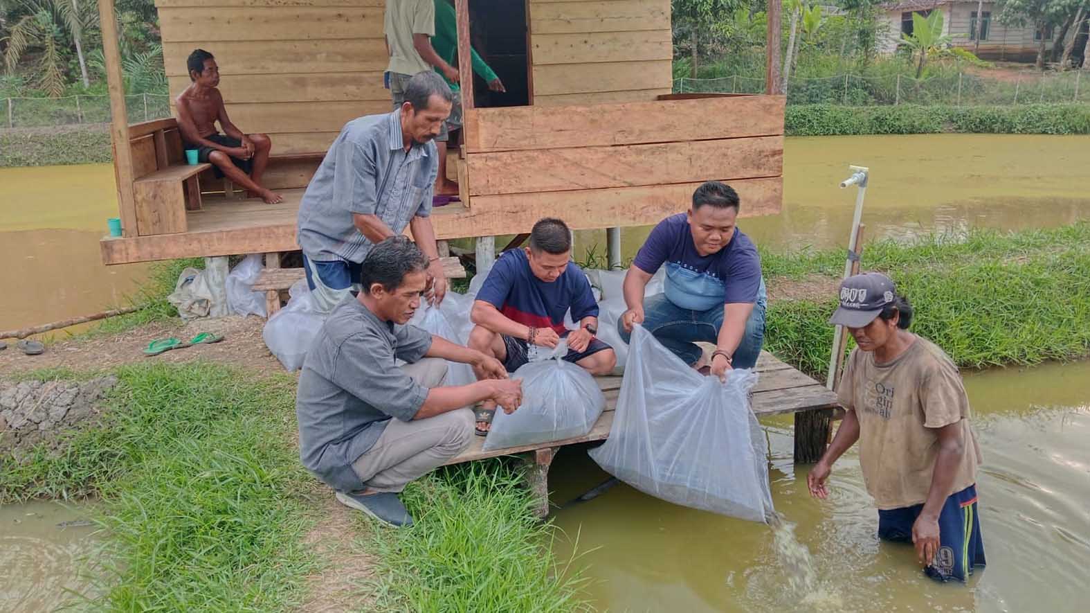 Program Ketahanan Pangan Desa Suka Mulya Fokus Budidaya Ikan Lele