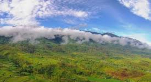 Cagar Alam Gunung Leuser: Permata Alam Sumatera