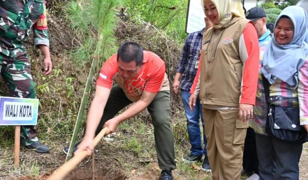 Pemkot Pagar Alam Tanam 1 Juta Pohon Pinus, Komitmen Wujudkan Kota Wisata Ramah Lingkungan