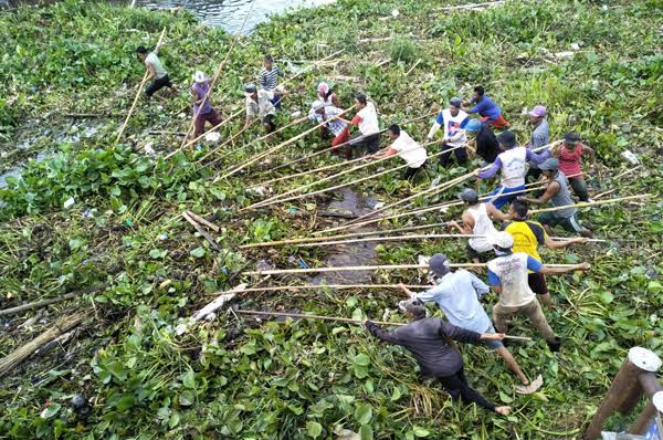 Membuka Tabir Rawa Pening dan Eceng Gondhok, Adakah Korban Jiwanya?