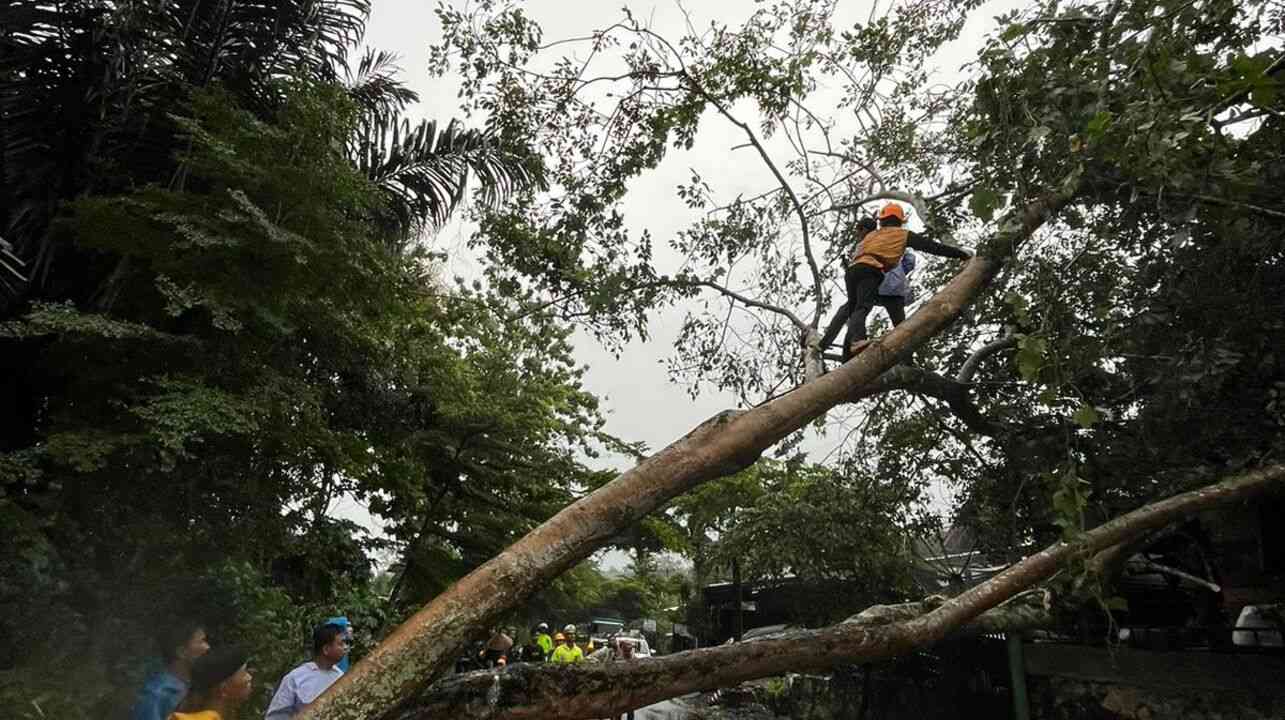 Waspada! Banjir dan Longsor Ancam OKU, Pohon Roboh dan Listrik Padam