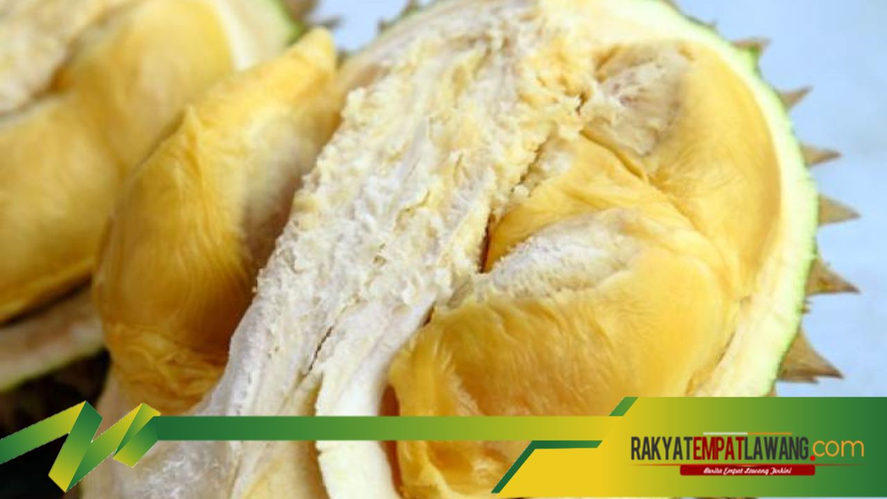 Menurunkan Risiko Tekanan Darah Tinggi dengan Durian, Kok Bisa ya, Simak Disini!