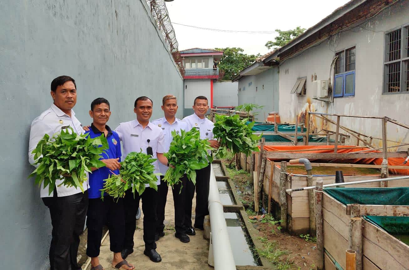 Lapas Sekayu Panen Kangkung, Wujudkan Kemandirian dan Pembinaan Berkelanjutan Warga Binaan
