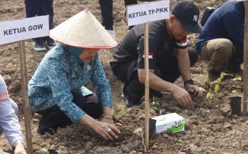 Ketua TP PKK Empat Lawang Ajak Warga Mandiri Pangan Lewat Gerakan Menanam Cabe
