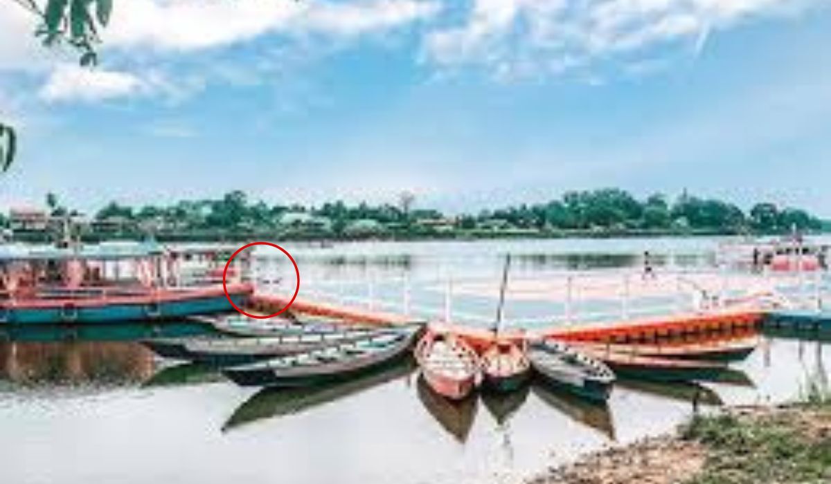 Jelmaan Putri Ayu Misteri di Balik Danau Sipin Wisata Alam Di Jambi